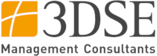 3DSE Management Consultants GmbH